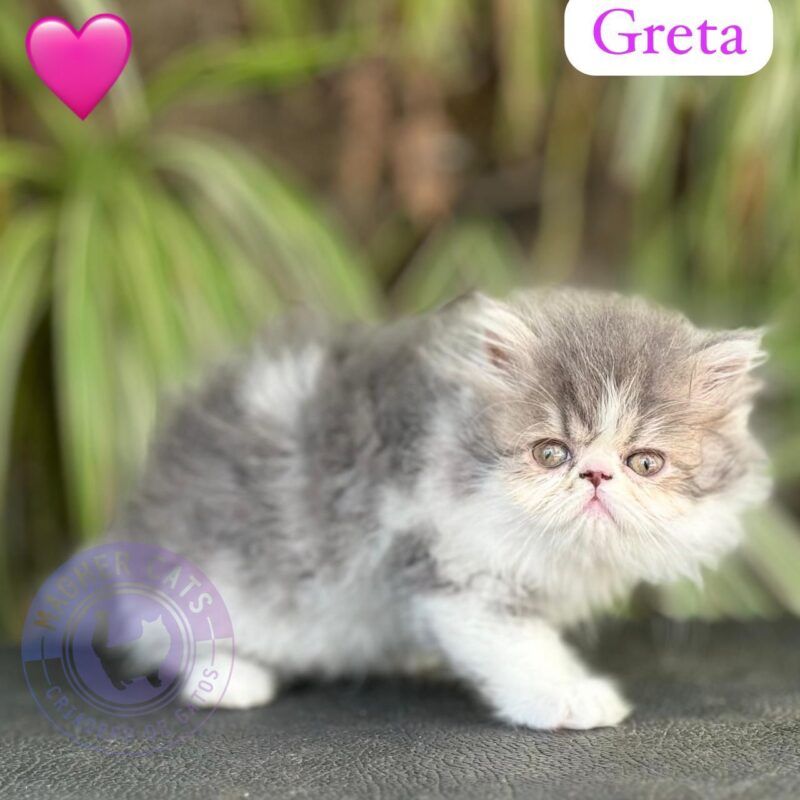 GRETA